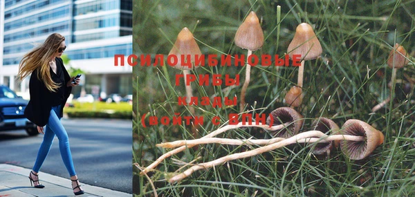 меф Магас